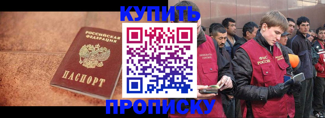 где прописаться в Нелидово